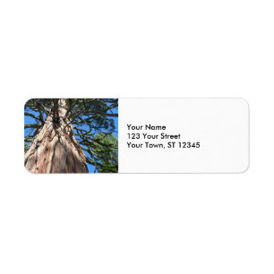 Étiquette Arbre de géant de la Californie