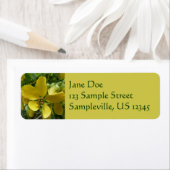 Étiquette Arbre Fleur Jaune Tropical Golden Shower (En situation)