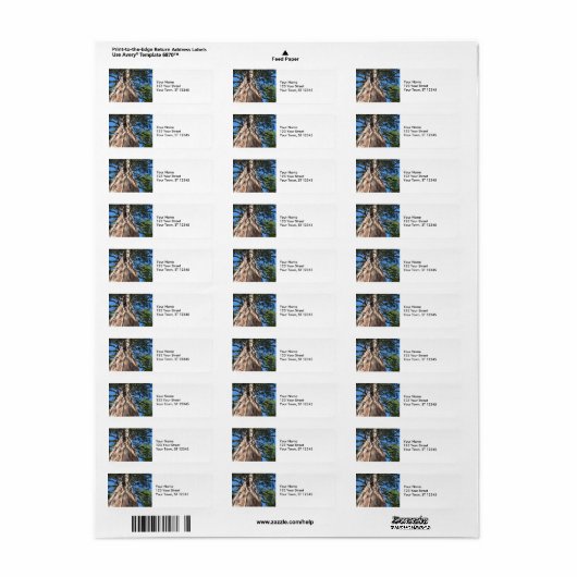 Étiquette Arbre géant californien (Feuille entière)