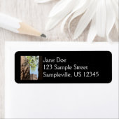 Étiquette Arbre qui pousse entre les rochers dans le parc na (En situation)