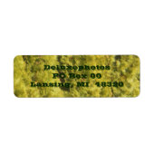 Étiquette Arbres À feuillage persistant Arborvitae (Devant)