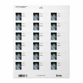 Étiquette Argentée (Feuille entière)