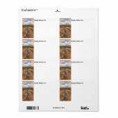 Étiquette Arizona Desert View Randonnée Trail Art numérique (Feuille entière)