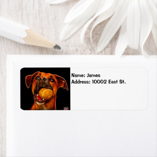 Étiquette Art Chien moderne - Boxe (En situation)