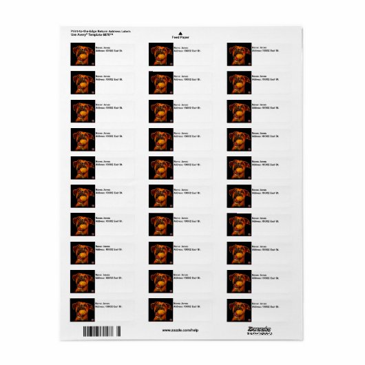 Étiquette Art Chien moderne - Boxe (Feuille entière)