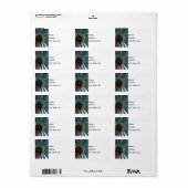 Étiquette Art Du Palmier (Feuille entière)