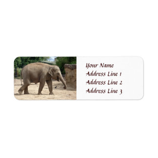 Étiquette Asian Elephant Walking On Sand Adresse de retour