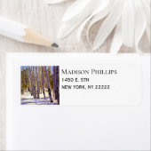 Étiquette Aspen Trees dans une forêt d'hiver (En situation)