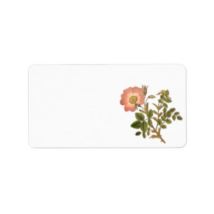 Étiquette assez floral - le cru rose s'est levé