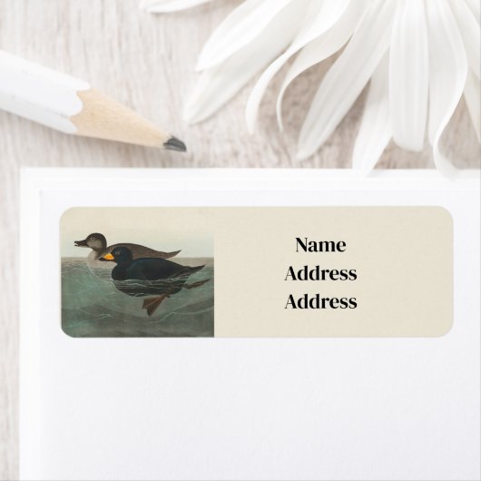 Étiquette Audubon American Scoter Duck Classic (En situation)