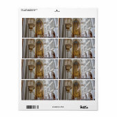 Étiquette Augustinerkirche, Vienne Autriche (Feuille entière)