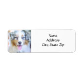 ÉTIQUETTE *AUSTRALIAN SHEPHERD* RETURN ADDRESS LABEL (Devant)
