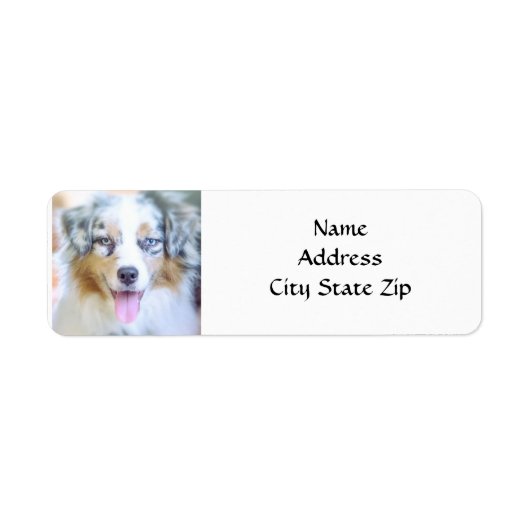 ÉTIQUETTE *AUSTRALIAN SHEPHERD* RETURN ADDRESS LABEL (Devant)
