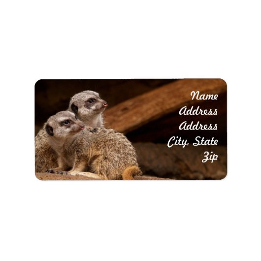Étiquette Autocollant d'adresse de suricate (Devant)