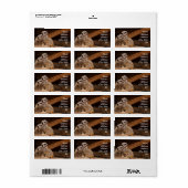 Étiquette Autocollant d'adresse de suricate (Feuille entière)