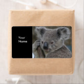 Étiquette Autocollants d'adresse Koalas (En situation)