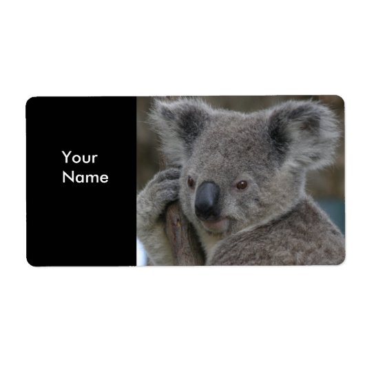 Étiquette Autocollants d'adresse Koalas (Devant)