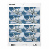 Étiquette Avion à réaction militaire (Feuille entière)