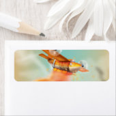 Étiquette Avion d'incendie Ariel (En situation)