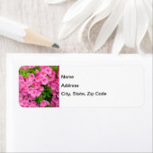 Étiquette Azalea Bush (En situation)