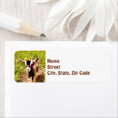 Étiquette Baby Chèvre - Adresse de retour (En situation)