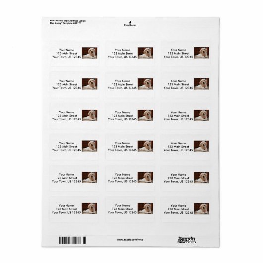 Étiquette Baby Jaune Labrador Chien chiot pondu sur le ventr (Feuille entière)