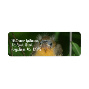 Étiquette Baby Oriole Fledgling Bird Adresse