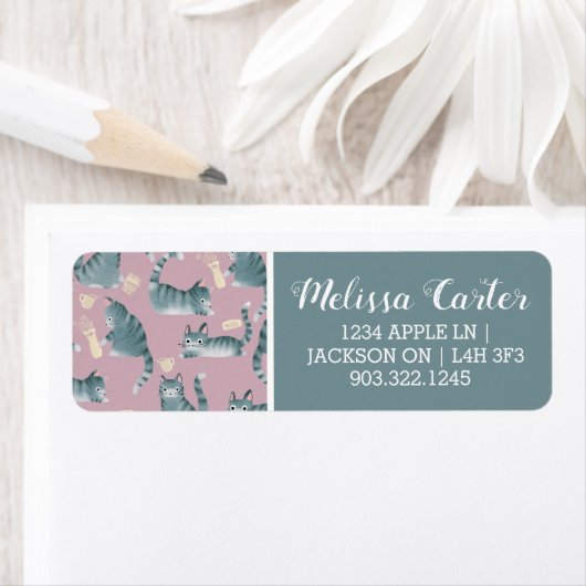 Étiquette Bad Grey Tabby Chats Frapper Tout (En situation)