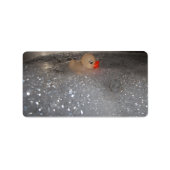 Étiquette Baignoire (Devant)