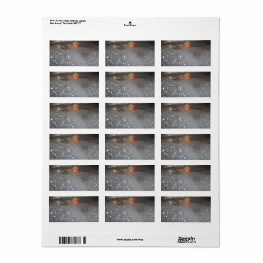 Étiquette Baignoire (Feuille entière)