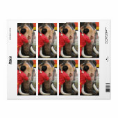 Étiquette Bain Eléphant ... Ayutthaya, Thaïlande (Feuille entière)