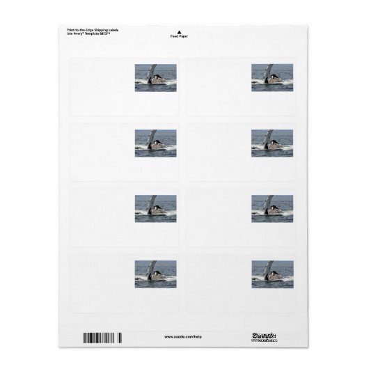 Étiquette Baleine à bosse (Feuille entière)