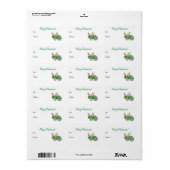 Étiquette Balise cadeau de Noël Chameleon Lizard (Feuille entière)
