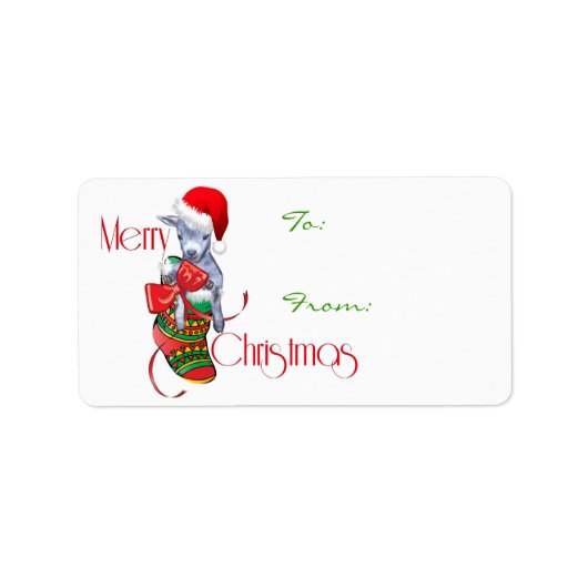Étiquette Balise cadeau de Noël de chèvre mignonne en stock (Devant)