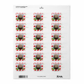 Étiquette Balise cadeau de Noël de votre chèvre (Feuille entière)