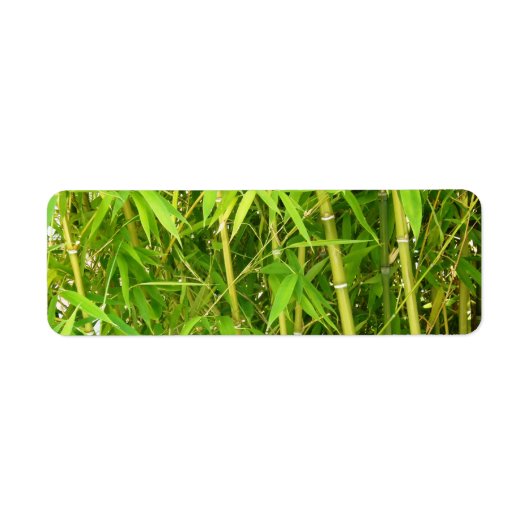 Étiquette Bambou (Devant)