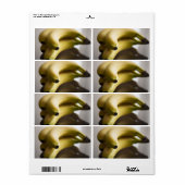 Étiquette Bananes (Feuille entière)