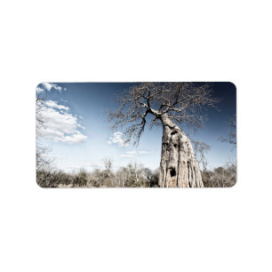 Étiquette Baobab dans le parc national des piscines de Mana,