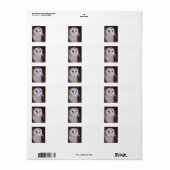 Étiquette barn owl (Feuille entière)