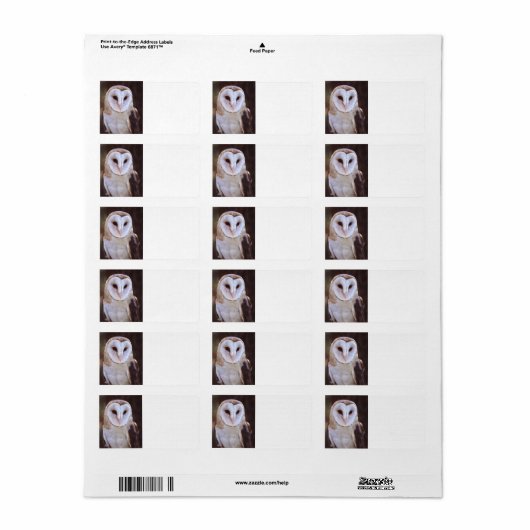 Étiquette barn owl (Feuille entière)