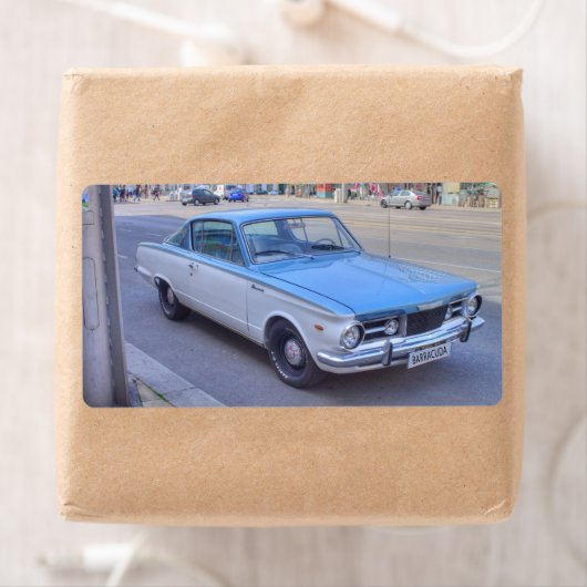 Étiquette Barracuda (En situation)