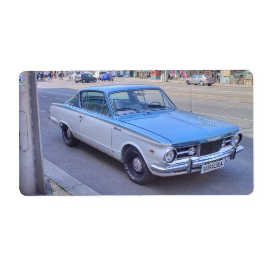 Étiquette Barracuda (Devant)