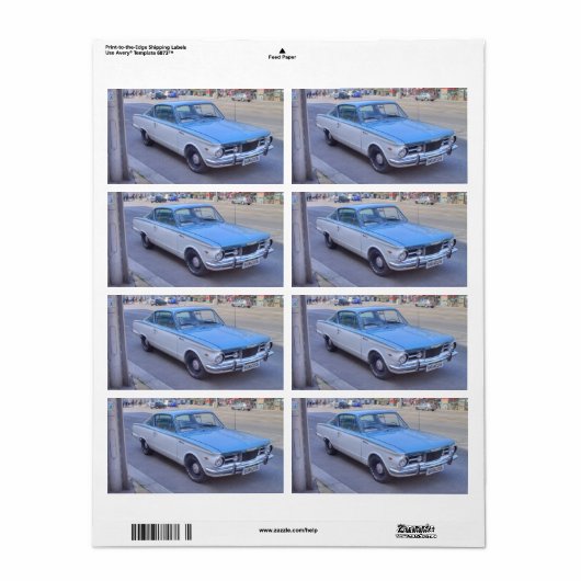 Étiquette Barracuda (Feuille entière)