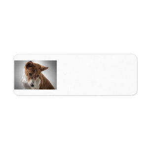 Étiquette basenji