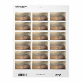 Étiquette Beach Sunset Seashell (Feuille entière)