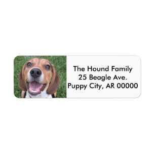 Étiquette Beagle