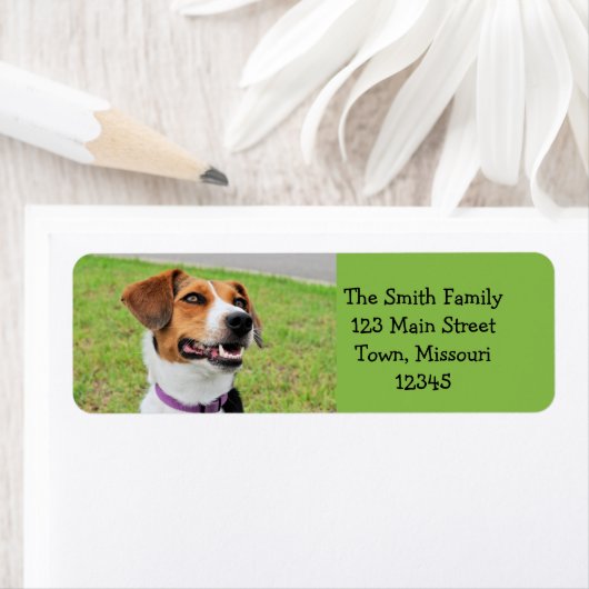 Étiquette Beagle (En situation)