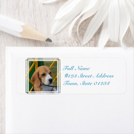 Étiquette Beagle agréable (En situation)