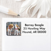 Étiquette Beagles Dans Les Bois (En situation)