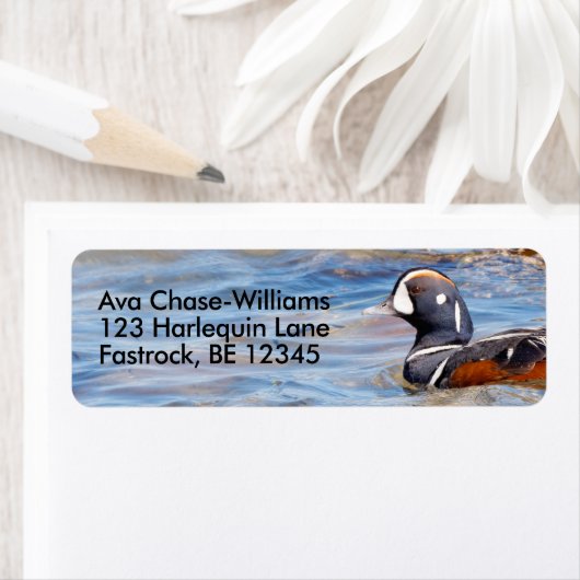 Étiquette Beau canard arlequin sur le rocher (En situation)